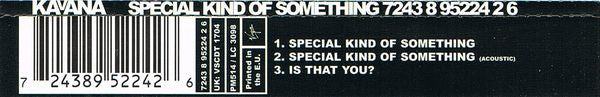 Kavana : Special Kind Of Something (CD, Single, CD1)