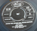 Julie Rogers : Another Year, Another Love, Another Heartache (7", Single, Mono)