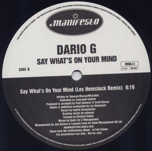 Dario G : Say What's On Your Mind (12", Promo)