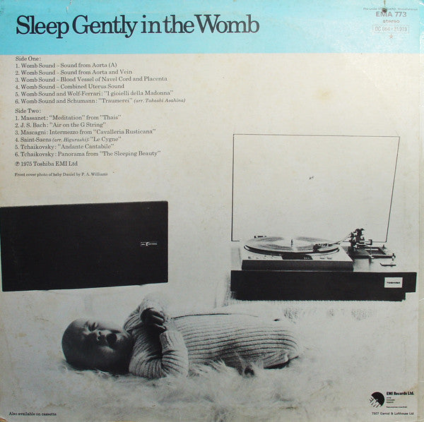 Dr. Hajime Murooka : Sleep Gently In The Womb (LP)