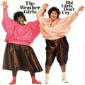 The Weather Girls : Big Girls Don't Cry (LP, Album)