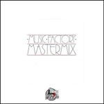 Various : Music Factory Mastermix - Issue No. 44 (2x12")