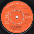 Al Stewart : Year Of The Cat (7", Single)