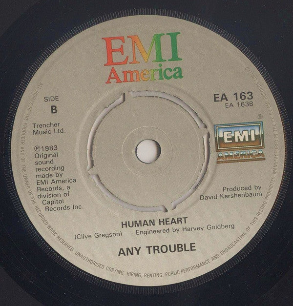 Any Trouble : I'll Be Your Man (7")
