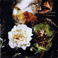 The Christians : I Found Out (12", Single)