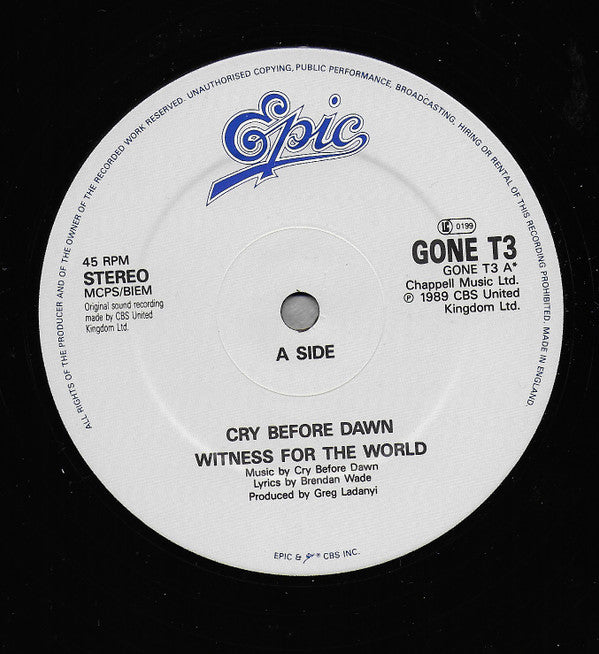 Cry Before Dawn : Witness For The World (12")