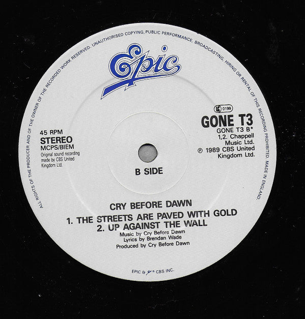 Cry Before Dawn : Witness For The World (12")