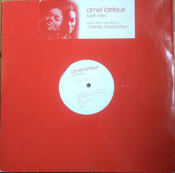 Amel Larrieux : Sweet Misery (12", Promo)
