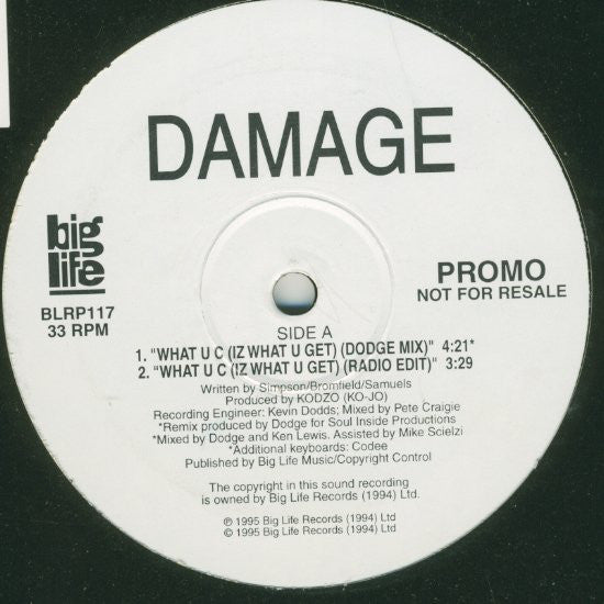 Damage : What U C (Iz What U Get) (12", Promo)