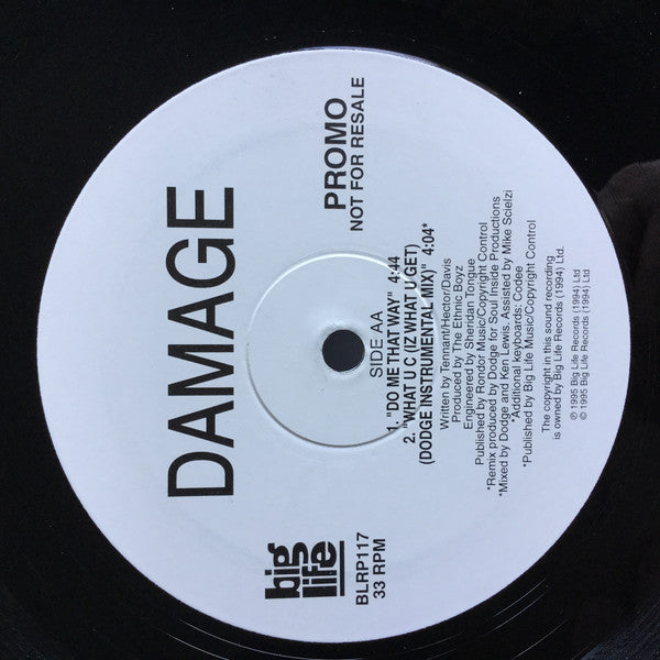 Damage : What U C (Iz What U Get) (12", Promo)