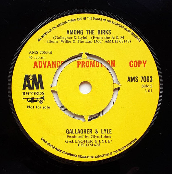 Gallagher & Lyle : Jesus Save Me (7", Promo)