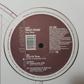 The Bitch Hotel Feat. Rivaz : End Of Time (12")