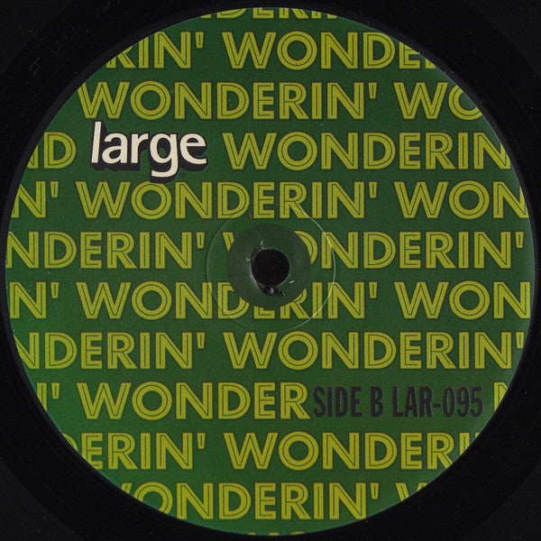 Roy Davis Jr. With Terry Dexter : Wonderin' (12")