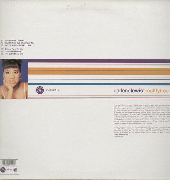 Darlene Lewis : Soul Fly Free (12")