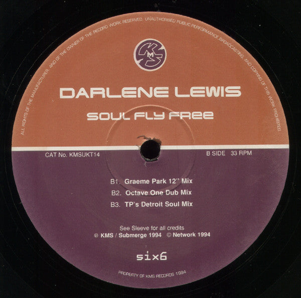 Darlene Lewis : Soul Fly Free (12")