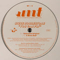 Steve Housestone : You Can Fly (12")