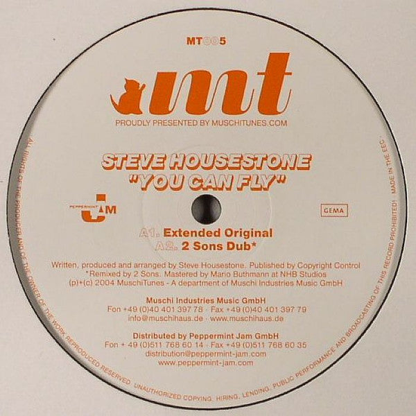Steve Housestone : You Can Fly (12")