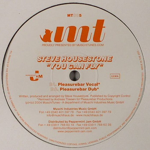Steve Housestone : You Can Fly (12")
