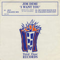 Jim Demi : I Want You (12")