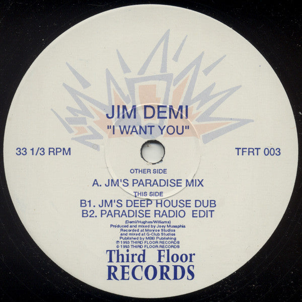 Jim Demi : I Want You (12")