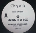 Living In A Box : Blow The House Down (12", Promo)