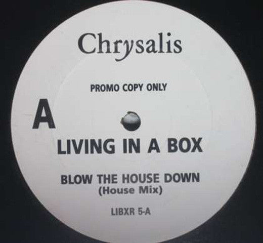 Living In A Box : Blow The House Down (12", Promo)