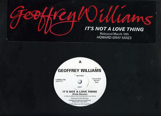 Geoffrey Williams : It's Not A Love Thing (Howard Gray Mixes) (12", Advance, Promo)