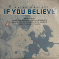 Irving Project : If You Believe (2x12")