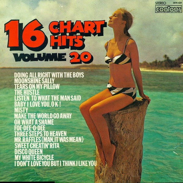 Unknown Artist : 16 Chart Hits Volume 20 (LP)