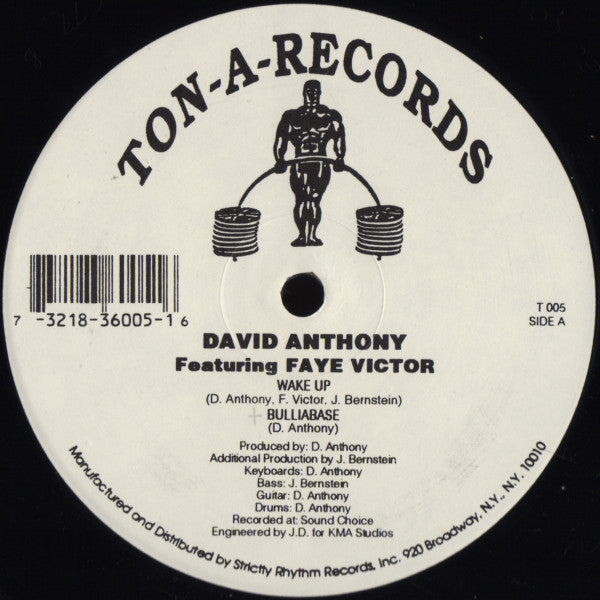 David Anthony Featuring Fay Victor : Wake Up (12")
