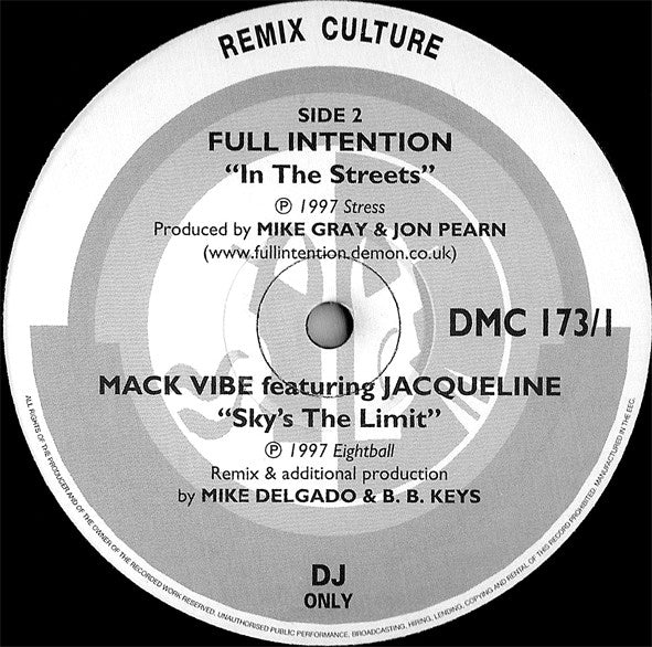 Various : Remix Culture 173 (2x12")