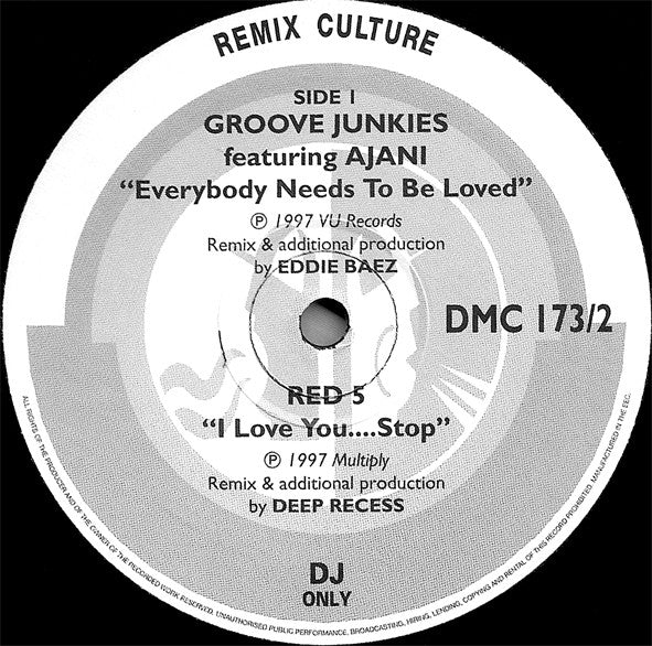 Various : Remix Culture 173 (2x12")