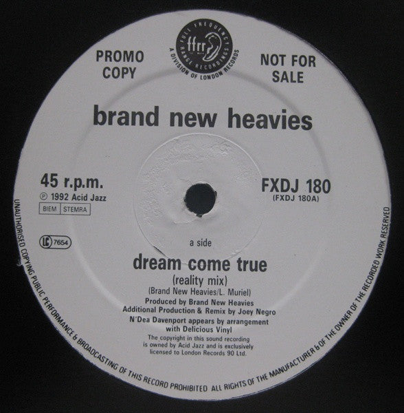 The Brand New Heavies : Dream Come True (12", Promo)