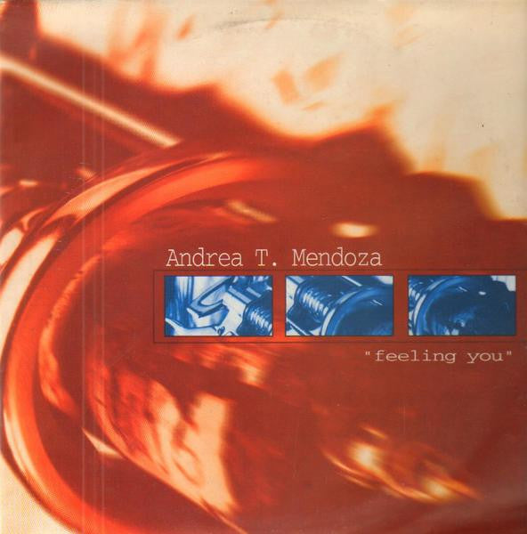 Andrea T. Mendoza : Feeling You (12")