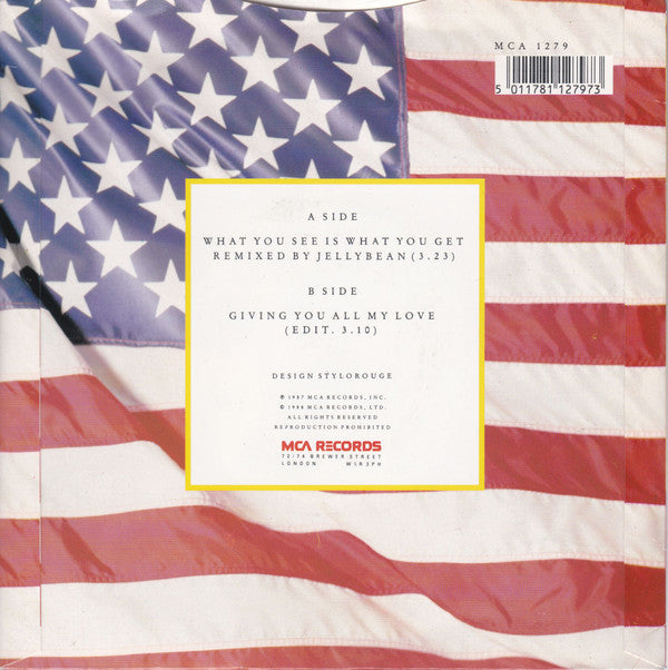 Brenda K. Starr : What You See Is What You Get (7", Single)