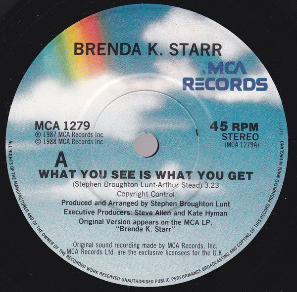 Brenda K. Starr : What You See Is What You Get (7", Single)