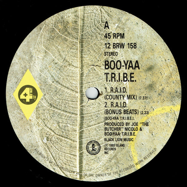 Boo-Yaa T.R.I.B.E. : R.A.I.D. (12")