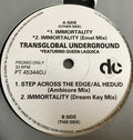 Transglobal Underground : Immortality (12", Promo)