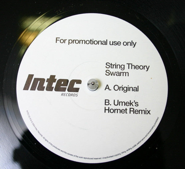String Theory (2) : Swarm (12", Promo)