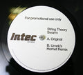 String Theory (2) : Swarm (12", Promo)