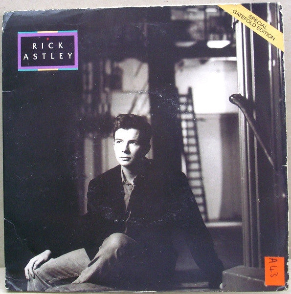 Rick Astley : Hold Me In Your Arms (7", Ltd, Gat)