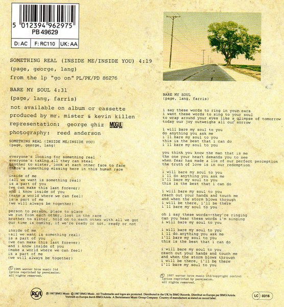 Mr. Mister : Something Real (Inside Me / Inside You) (7", Single)