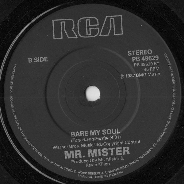 Mr. Mister : Something Real (Inside Me / Inside You) (7", Single)