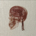 The Deceived : Monuments (CD)