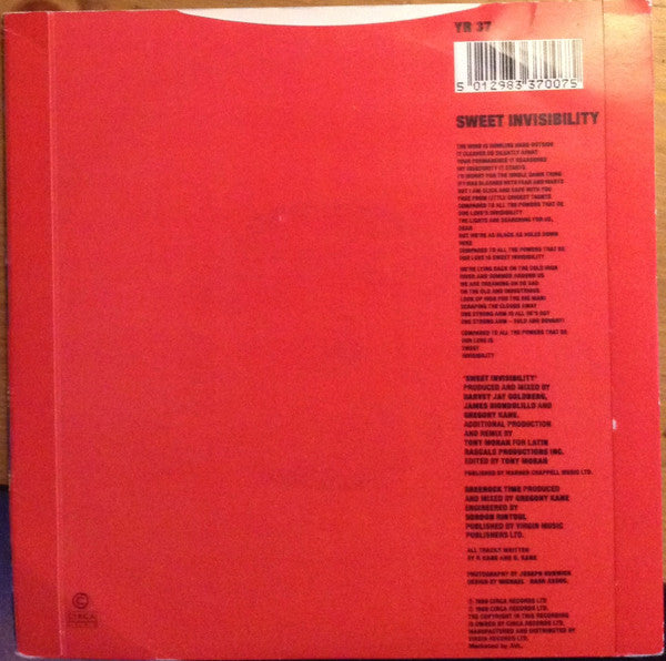 Hue & Cry : Sweet Invisibility (7", Single)