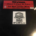 Sybil : When I Fall In Love (Meat Grinder Mixes) (12")