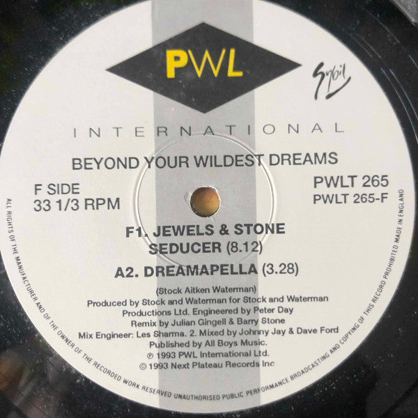 Sybil : Beyond Your Wildest Dreams (12")