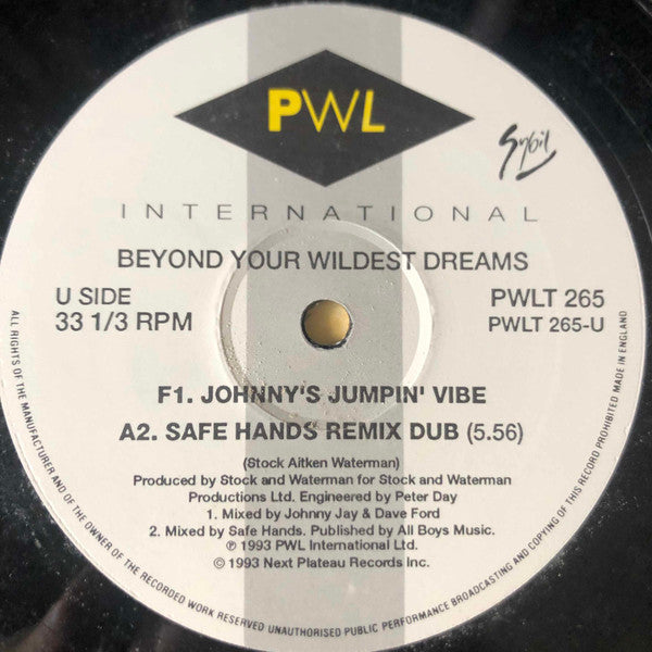 Sybil : Beyond Your Wildest Dreams (12")