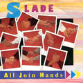 Slade : All Join Hands (7", Single)