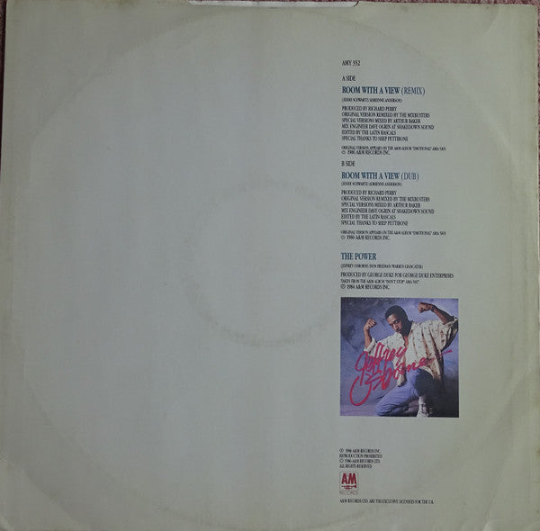 Jeffrey Osborne : Room With A View (12", Single)